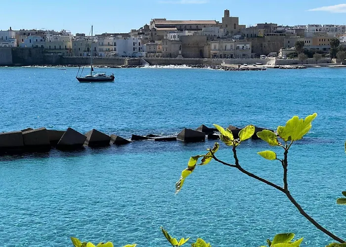 アパート Terrazza Idrusa *